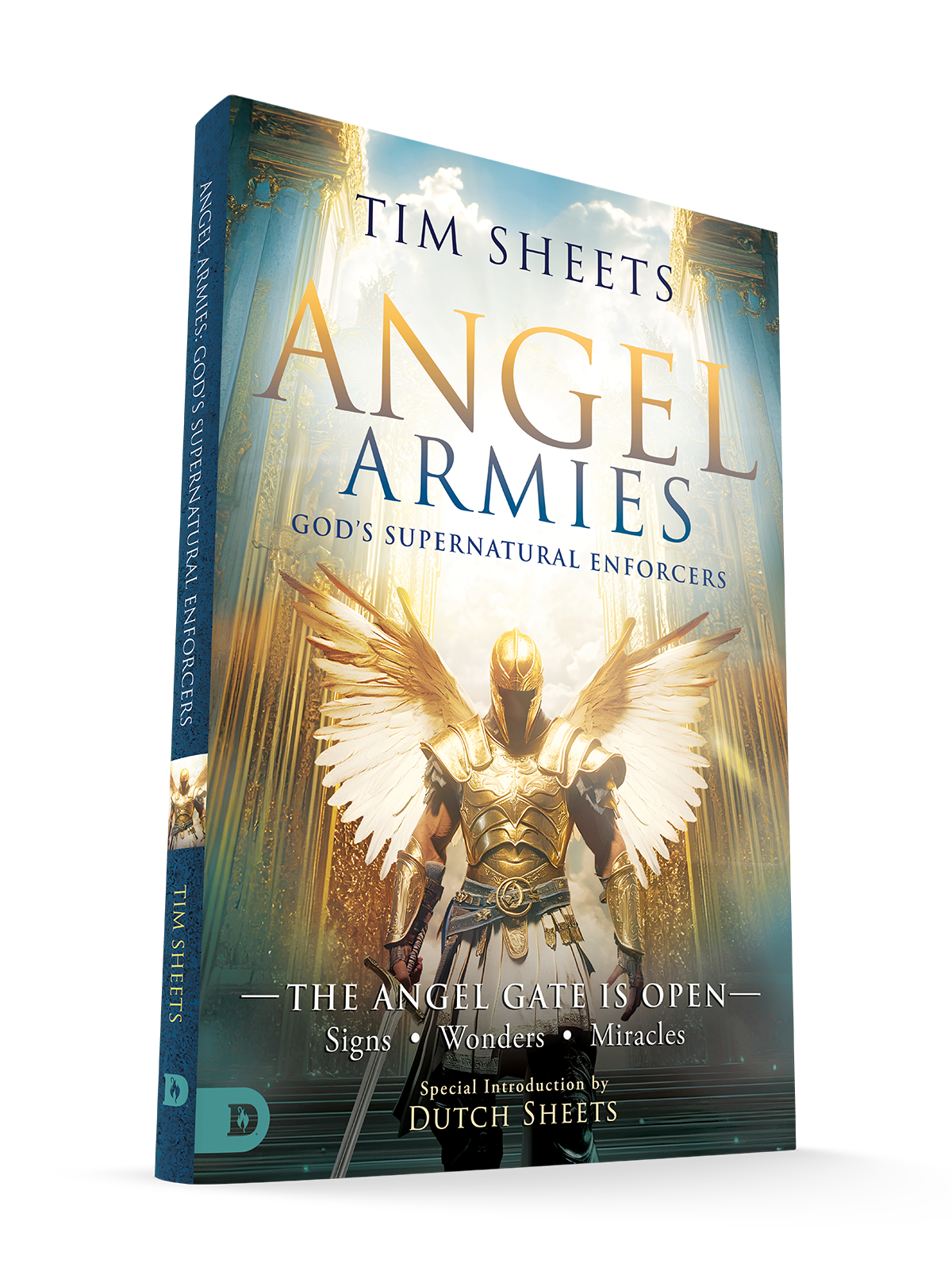 Angel Armies: God's Supernatural Enforcers: The Angel Gate is Open: Signs, Wonders, and Miracles Paperback – May 6, 2025 Angel Armies: God's Supernatural Enforcers: The Angel Gate is Open: Signs, Wonders, and Miracles Paperback – May 6, 2025