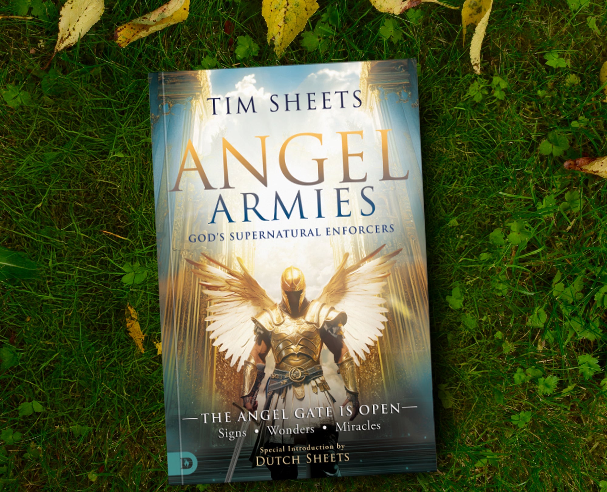 Angel Armies: God's Supernatural Enforcers: The Angel Gate is Open: Signs, Wonders, and Miracles Paperback – May 6, 2025 Angel Armies: God's Supernatural Enforcers: The Angel Gate is Open: Signs, Wonders, and Miracles Paperback – May 6, 2025