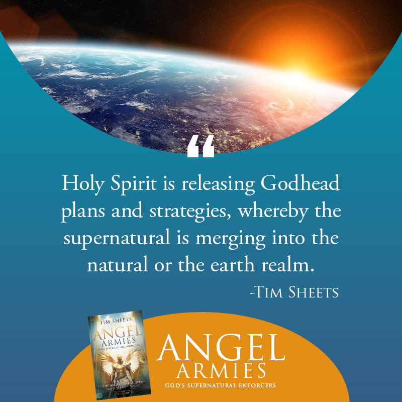 Angel Armies: God's Supernatural Enforcers: The Angel Gate is Open: Signs, Wonders, and Miracles Paperback – May 6, 2025 Angel Armies: God's Supernatural Enforcers: The Angel Gate is Open: Signs, Wonders, and Miracles Paperback – May 6, 2025