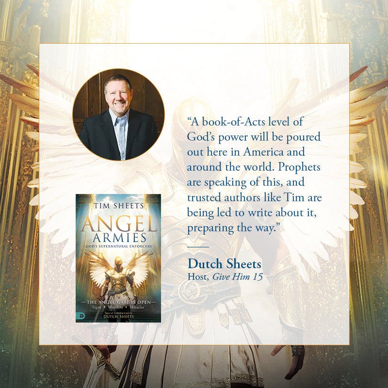 Angel Armies: God's Supernatural Enforcers: The Angel Gate is Open: Signs, Wonders, and Miracles Paperback – May 6, 2025 Angel Armies: God's Supernatural Enforcers: The Angel Gate is Open: Signs, Wonders, and Miracles Paperback – May 6, 2025