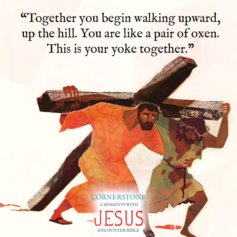 Cornerstone: A Moments with Jesus Encounter Bible: 20 Immersive Accounts of Jesus from Throughout the Scriptures Hardcover – November 5, 2024 Cornerstone: A Moments with Jesus Encounter Bible: 20 Immersive Accounts of Jesus from Throughout the Scriptures Hardcover – November 5, 2024