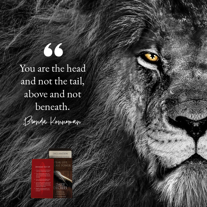 Daily Decree Card Deck - September 6, 2025 Daily Decree Card Deck - September 6, 2025