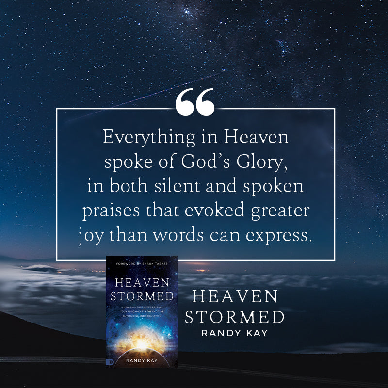 Heaven Stormed:  A Heavenly Encounter Reveals Your Assignment in the End Time Outpouring and Tribulation (Paperback) - February 6, 2024 Heaven Stormed:  A Heavenly Encounter Reveals Your Assignment in the End Time Outpouring and Tribulation (Paperback) - February 6, 2024