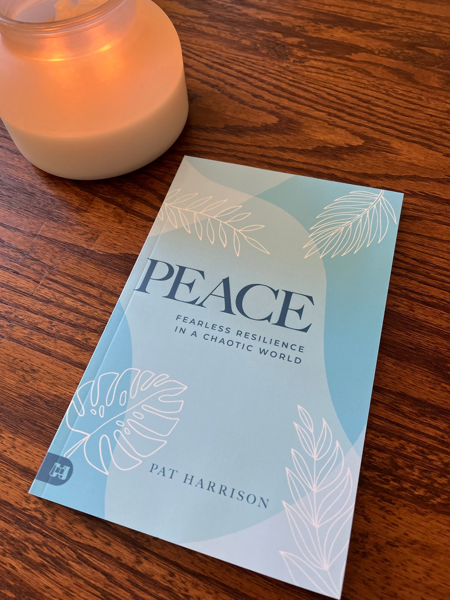 Peace: Fearless Resilience in a Chaotic World Paperback – December 5, 2023 Peace: Fearless Resilience in a Chaotic World Paperback – December 5, 2023