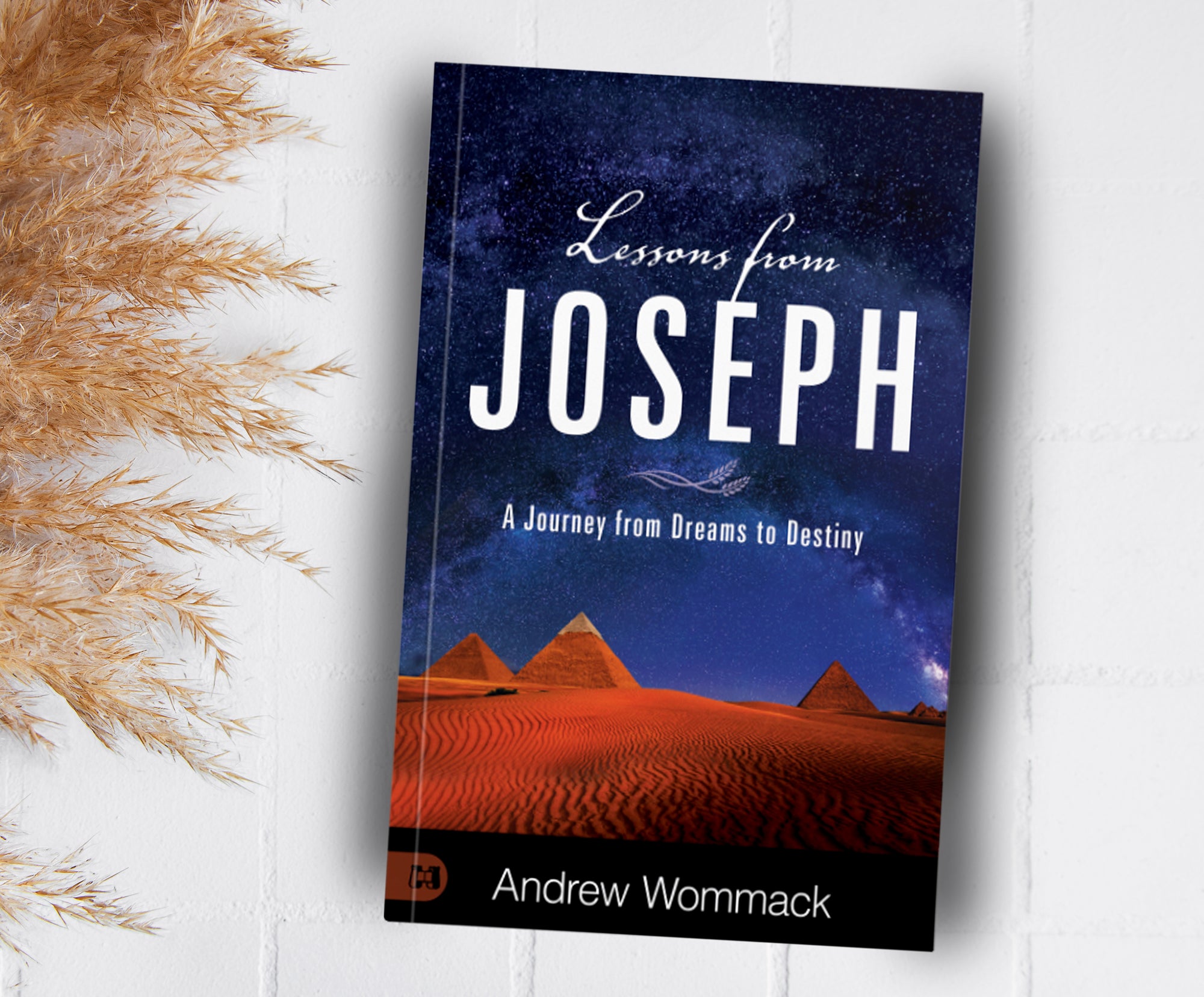 Lessons from Joseph:  A Journey from Dreams to Destiny (Paperback) - April 2, 2024 Lessons from Joseph:  A Journey from Dreams to Destiny (Paperback) - April 2, 2024