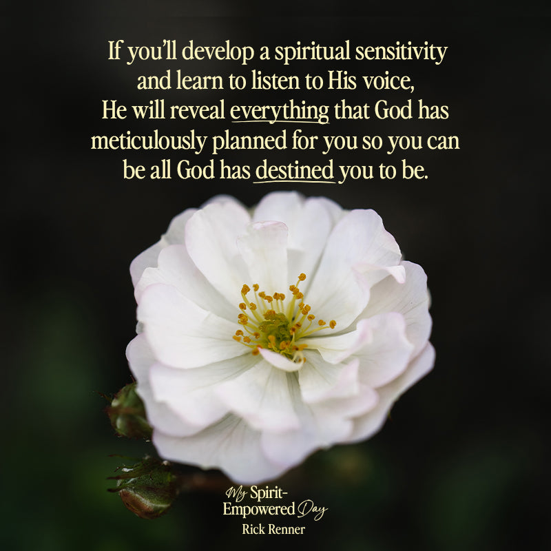 My Spirit-Empowered Day:  A Sparkling Gems from the Greek Guided Devotional Journal (Paperback) - April 2, 2024 My Spirit-Empowered Day:  A Sparkling Gems from the Greek Guided Devotional Journal (Paperback) - April 2, 2024