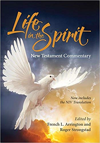 Life in the Spirit New Testament Comment Life in the Spirit New Testament Comment