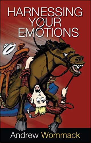 Harnessing Your Emotions Harnessing Your Emotions