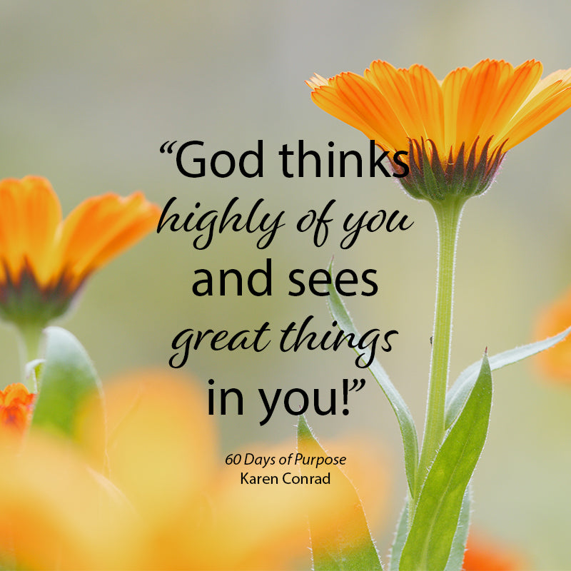 60 Days of Purpose: A Devotional Journal to Define Your Destiny and Achieve True Success Paperback – November 15, 2022 60 Days of Purpose: A Devotional Journal to Define Your Destiny and Achieve True Success Paperback – November 15, 2022