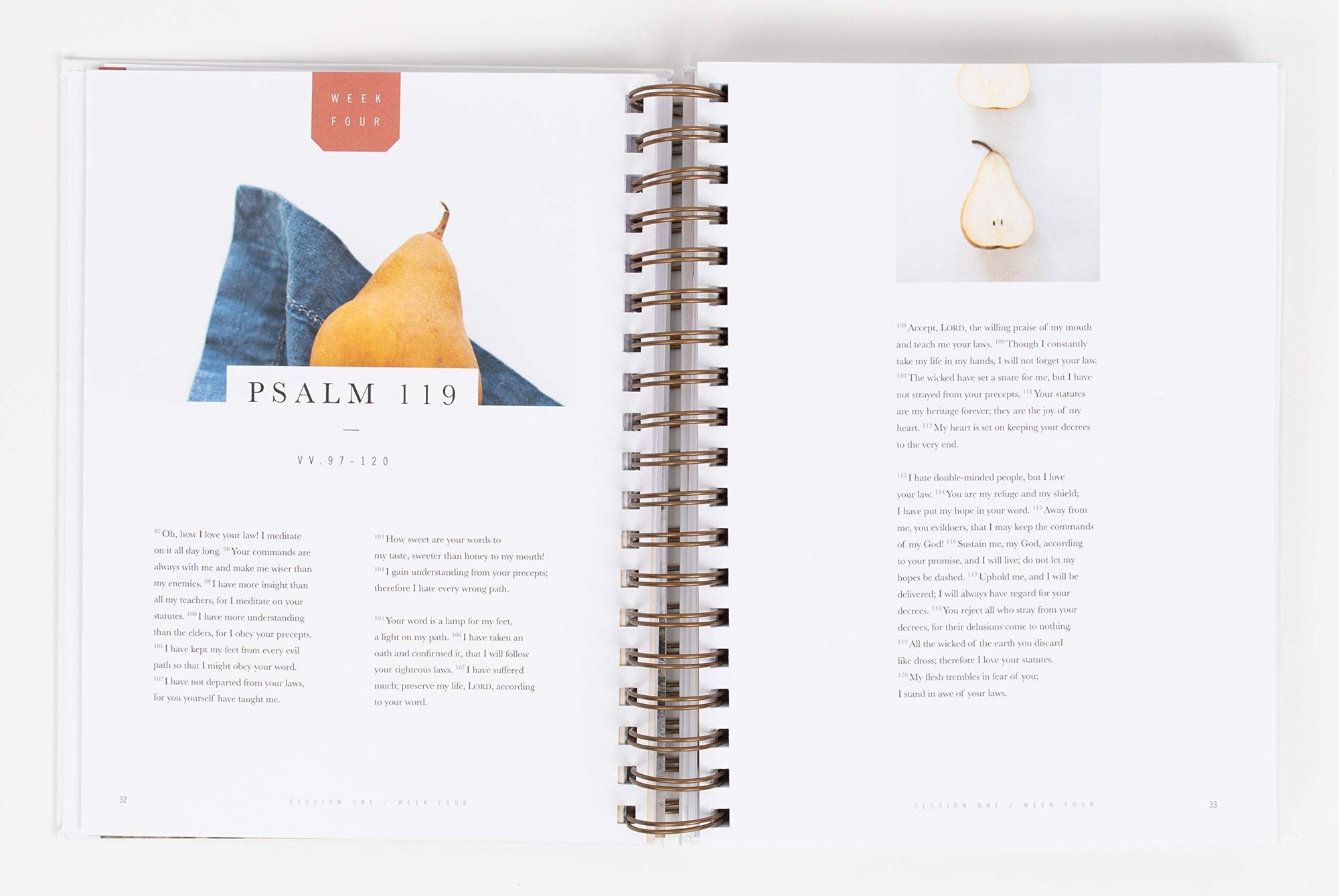 Flourish: A Mentoring Journey - Year One Spiral-bound – January 12, 2021 Flourish: A Mentoring Journey - Year One Spiral-bound – January 12, 2021