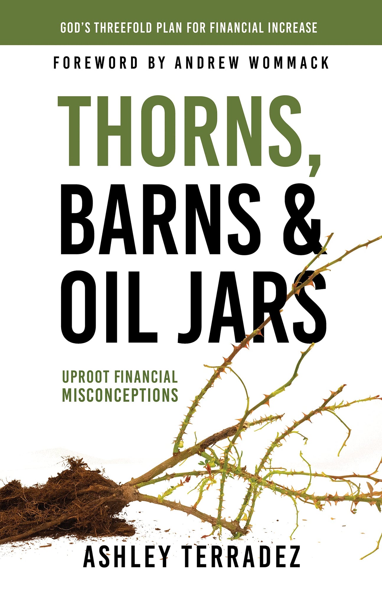 Thorns, Barns, and Oil Jars: God's Threefold Plan for Your Financial Increase Paperback – September 21, 2021 Thorns, Barns, and Oil Jars: God's Threefold Plan for Your Financial Increase Paperback – September 21, 2021