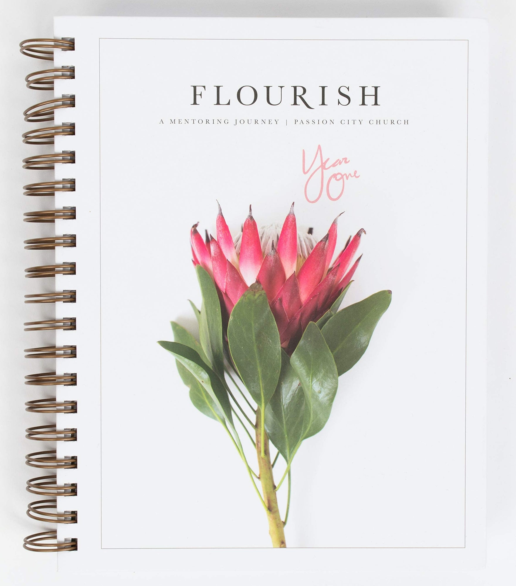 Flourish: A Mentoring Journey - Year One Spiral-bound – January 12, 2021 Flourish: A Mentoring Journey - Year One Spiral-bound – January 12, 2021