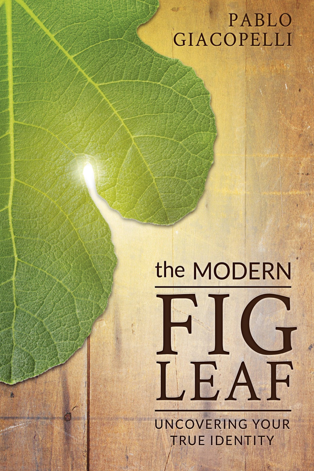 Modern Fig Leaf Modern Fig Leaf