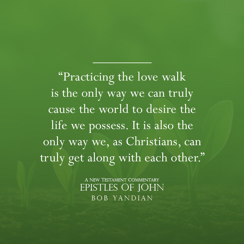 Epistles of John: A New Testament Commentary Paperback – September 5, 2023 Epistles of John: A New Testament Commentary Paperback – September 5, 2023