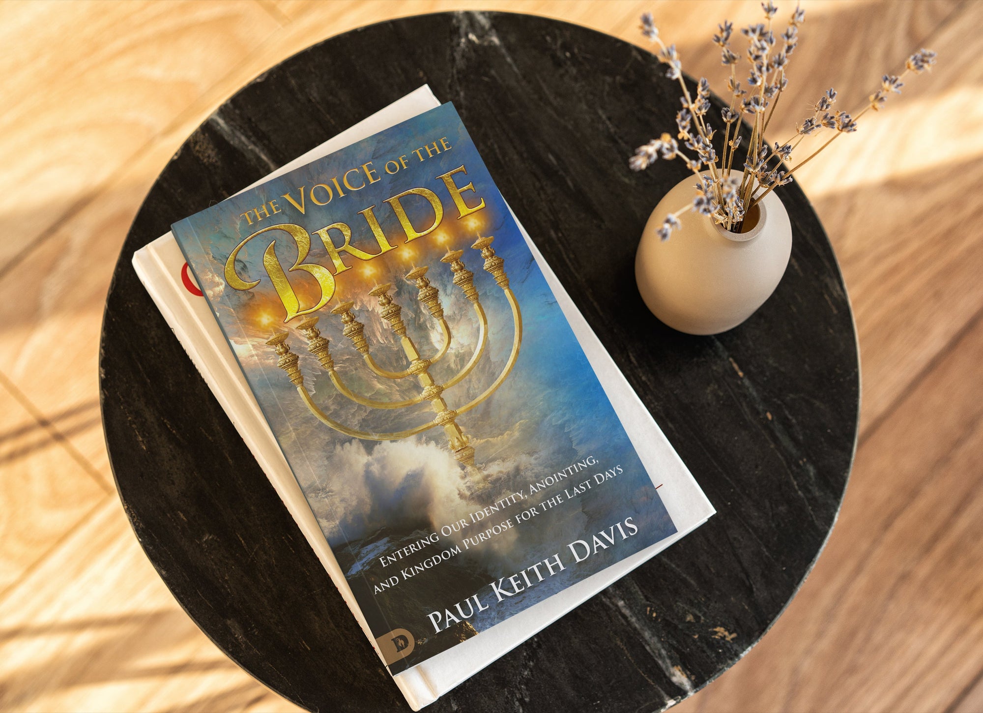 The Voice of the Bride: Entering Our Identity, Anointing, and Kingdom Purpose for the Last Days Paperback – February 15, 2022 by Paul Keith Davis  (Author) The Voice of the Bride: Entering Our Identity, Anointing, and Kingdom Purpose for the Last Days Paperback – February 15, 2022 by Paul Keith Davis  (Author)