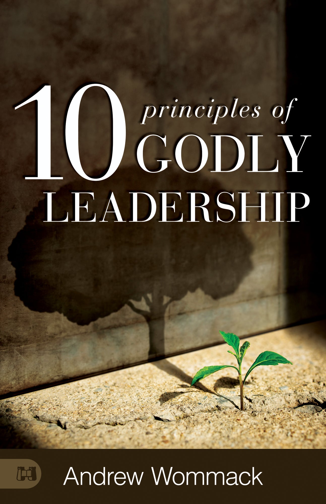10 Principles of Godly Leadership Hardcover – June 3, 2025