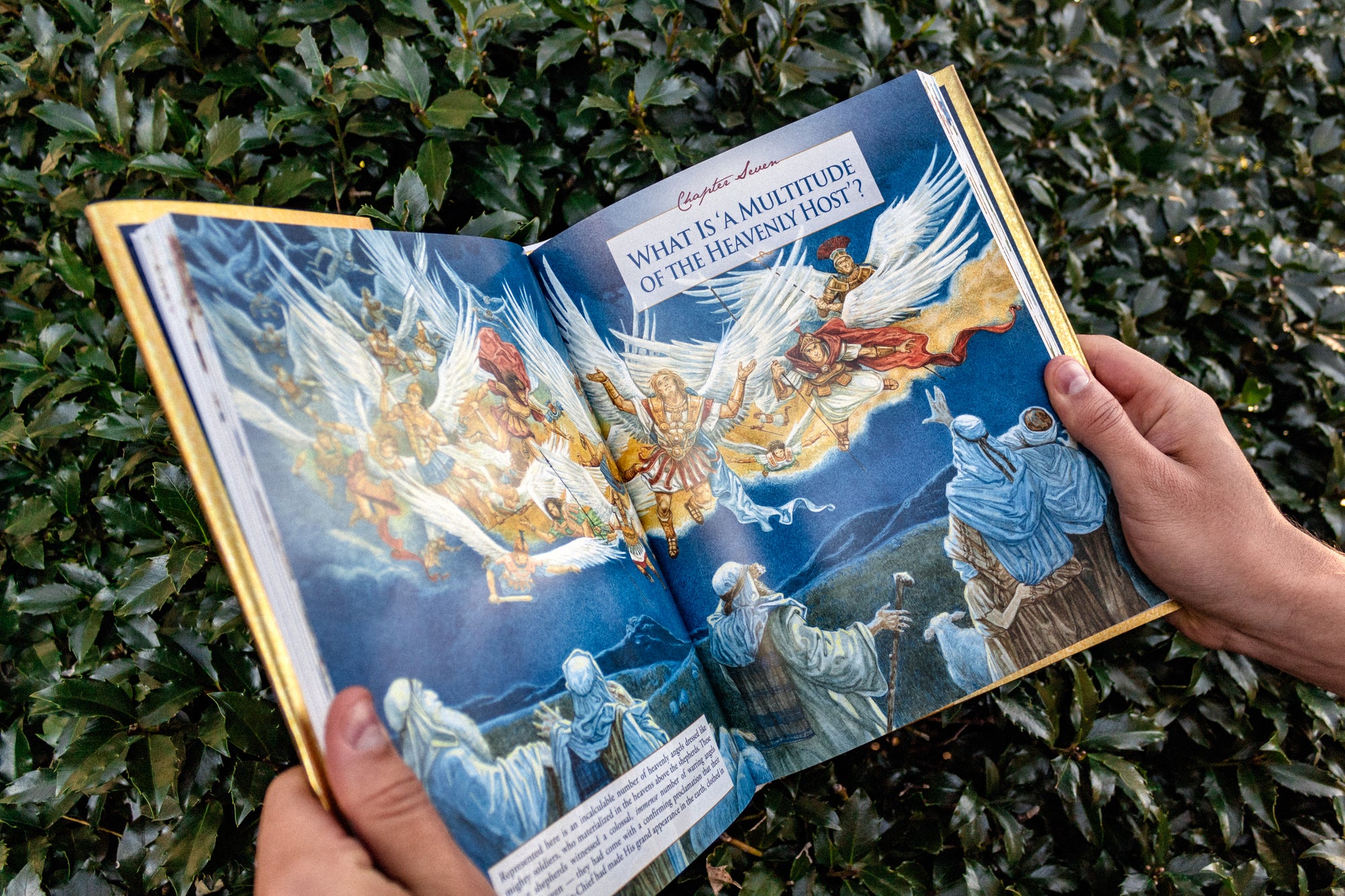 The Rest of the Story: Christmas & Easter Book Bundle - Faith & Flame - Books and Gifts - Faith & Flame - Books and Gifts - RSCEBB