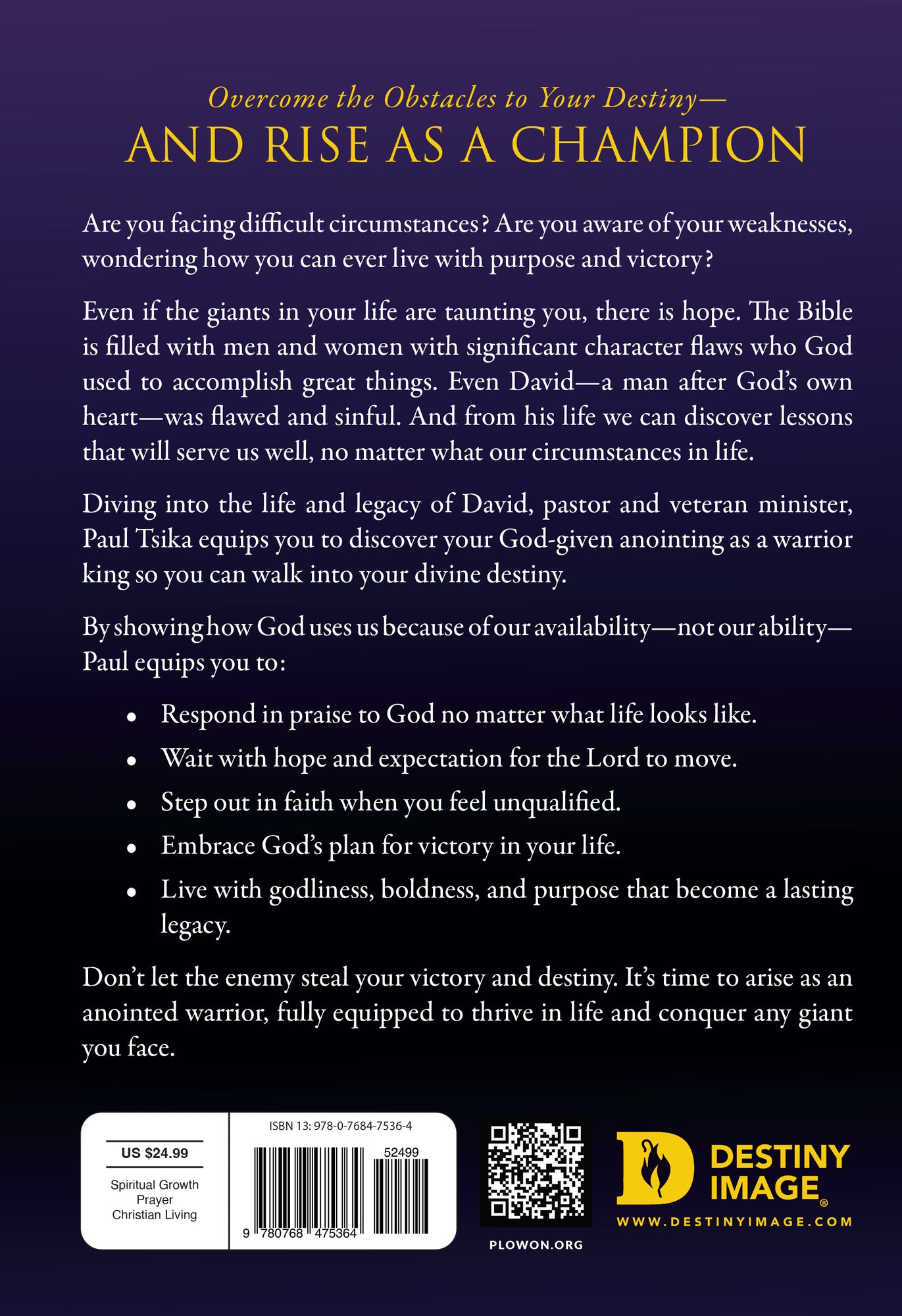 Discovering the Warrior in You: David: The Making of a King Hardcover – December 5, 2023