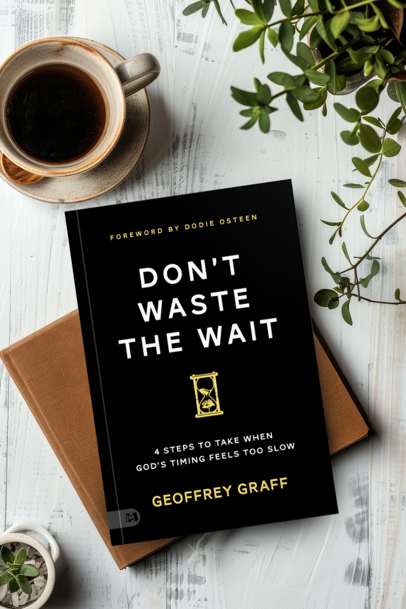 Don't Waste the Wait: 4 Steps to Take When God's Timing Feels Too Slow Paperback – January 6, 2026
