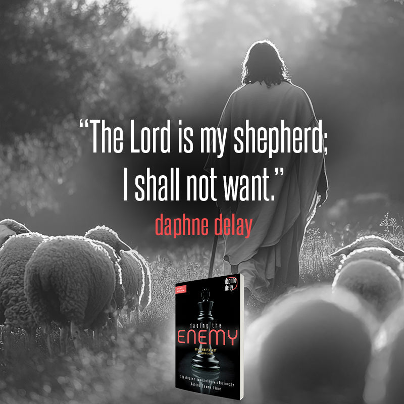 Facing the Enemy 10th Anniversary Expanded Edition: Strategies for Living Victoriously Behind Enemy Lines Paperback – July 2026