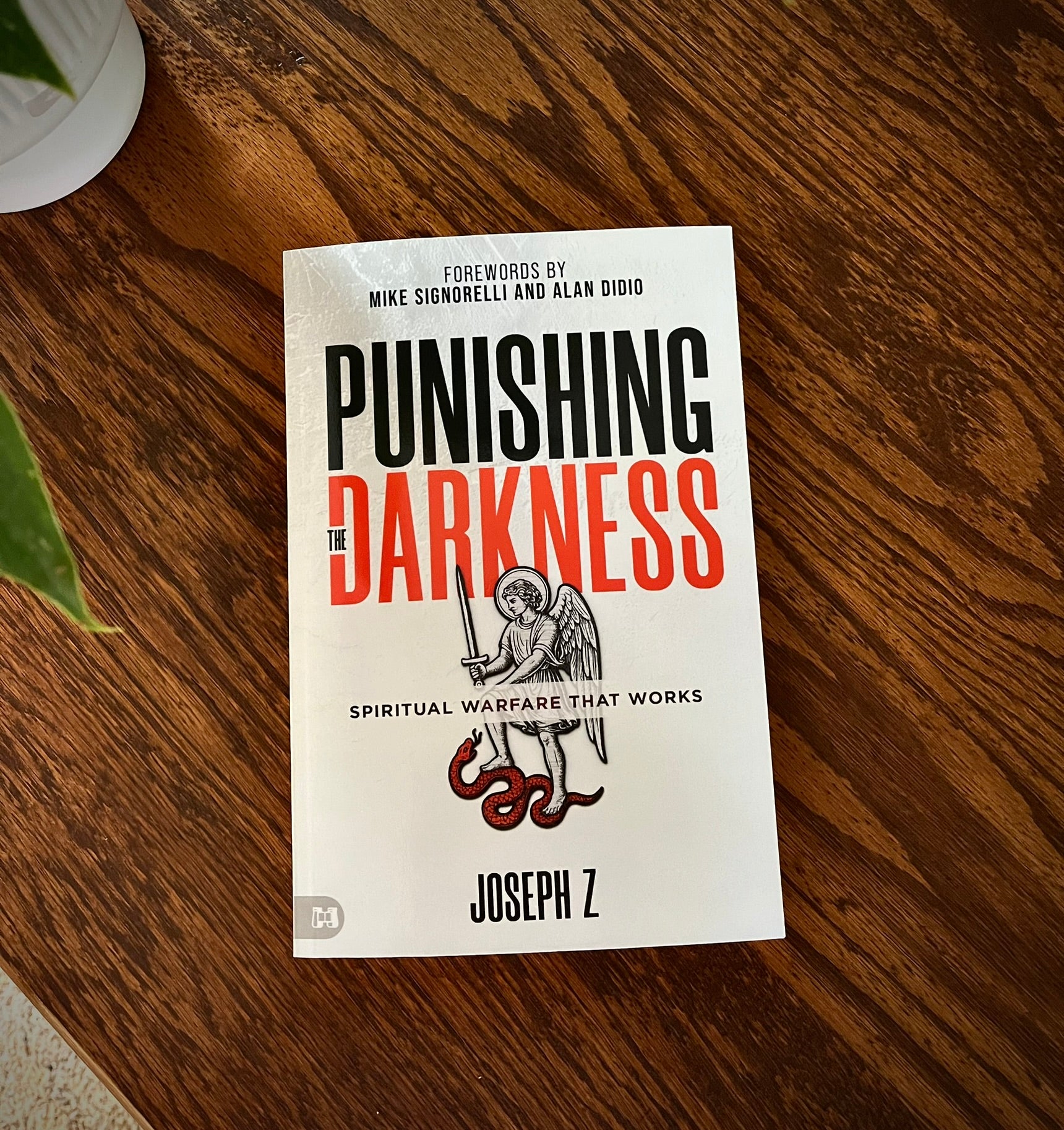 Punishing the Darkness: Spiritual Warfare That Works Paperback – February 3, 2026