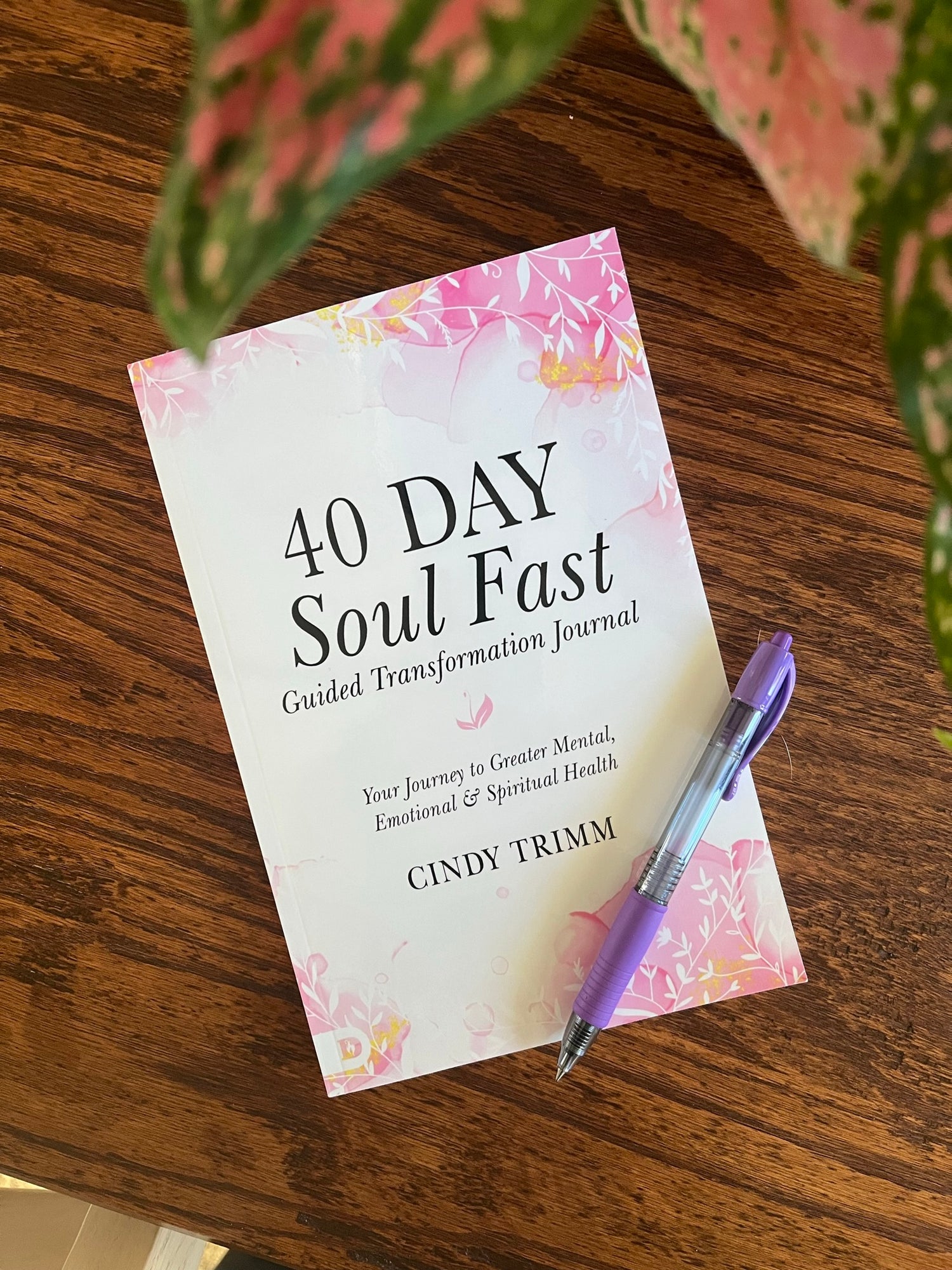 40 Day Soul Fast Guided Transformation Journal: Your Journey to Greater Mental, Emotional, and Spiritual Health Paperback – December 5, 2023