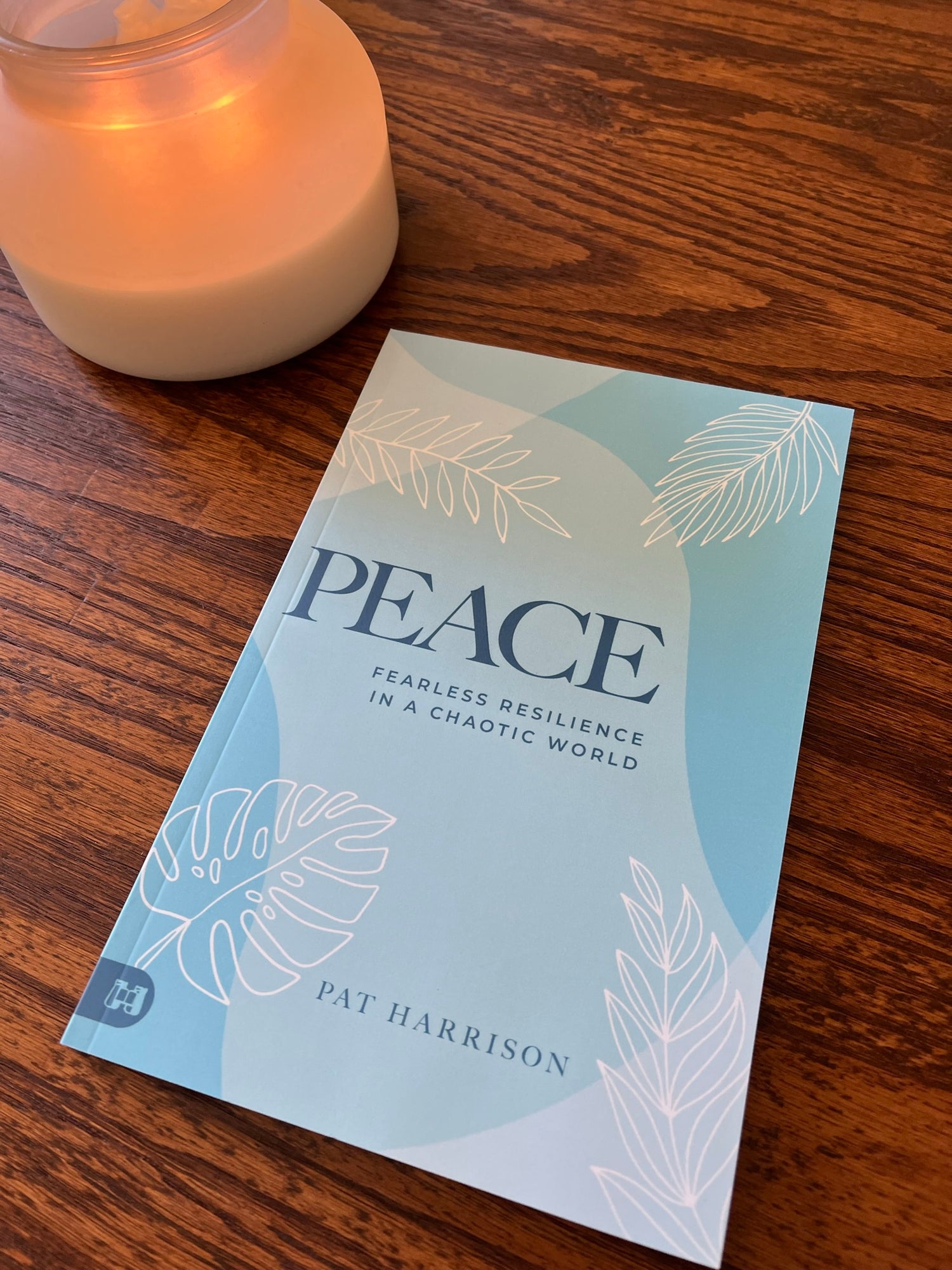 Peace: Fearless Resilience in a Chaotic World Paperback – December 5, 2023