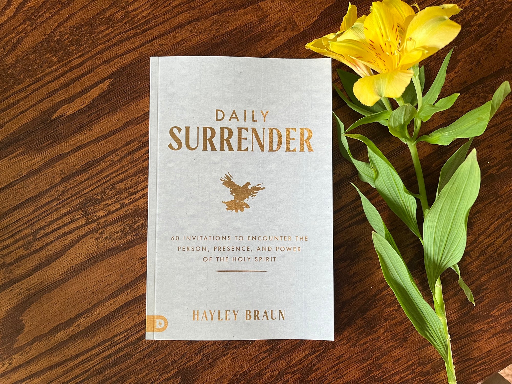 Daily Surrender: 60 Invitations to Encounter the Person, Presence and Power of the Holy Spirit Paperback – September 2, 2025