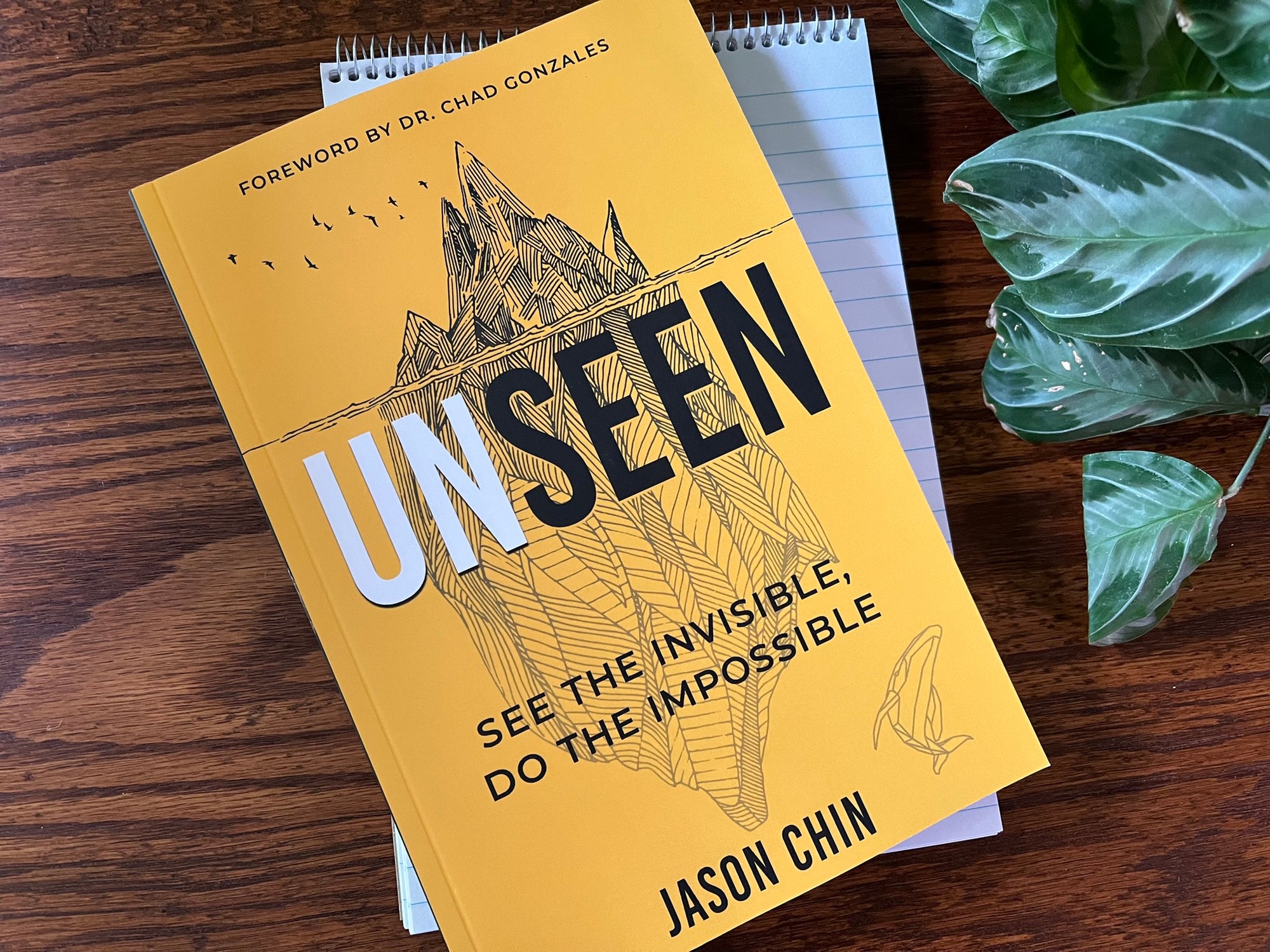 Unseen: Access the Supernatural Realm of Angels, Dreams and Visions and Experience Resurrection Power Paperback – September 2, 2025
