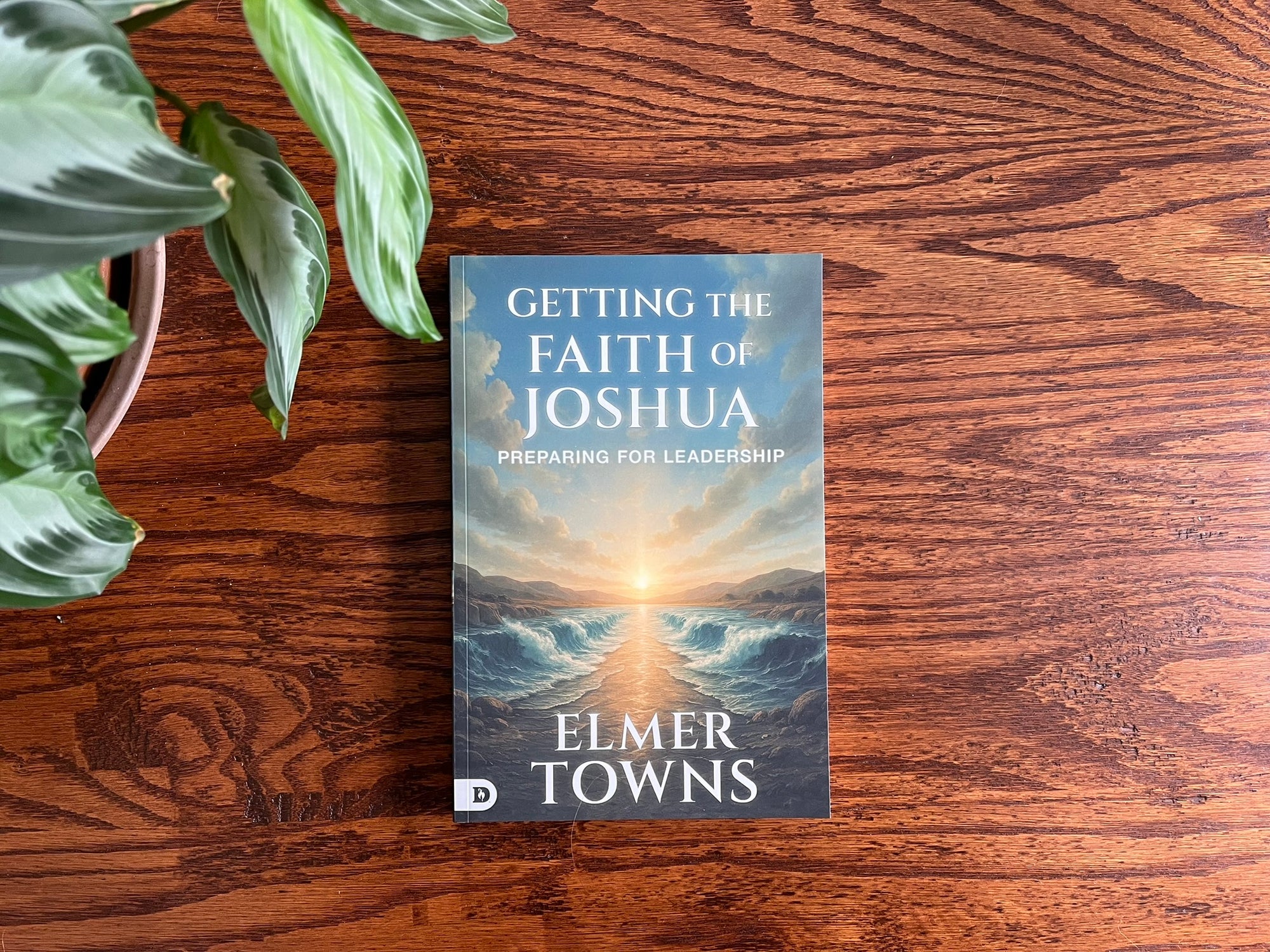 Getting the Faith of Joshua: Preparing for Leadership Paperback - May 6, 2026