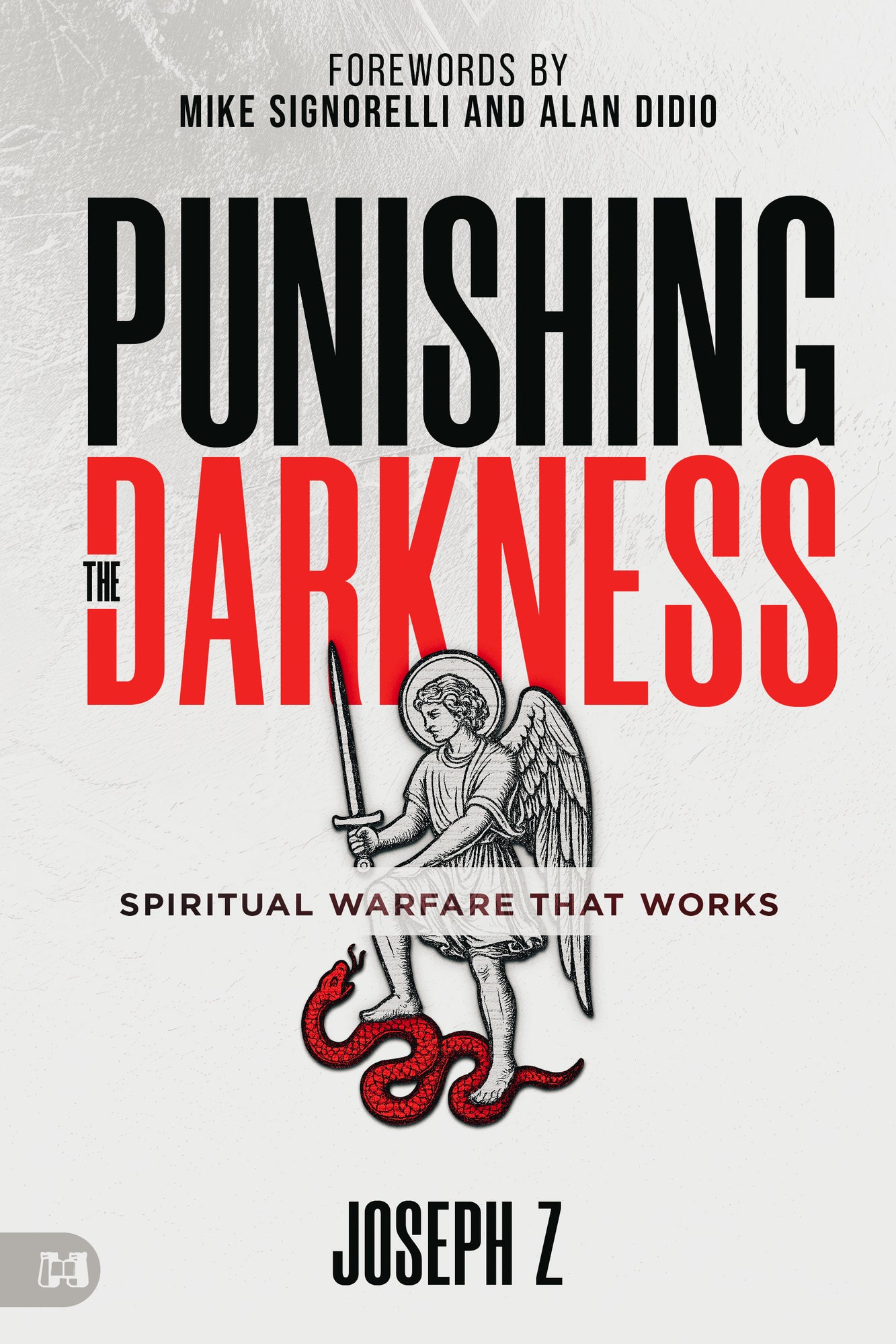 Punishing the Darkness: Spiritual Warfare That Works Paperback – February 3, 2026