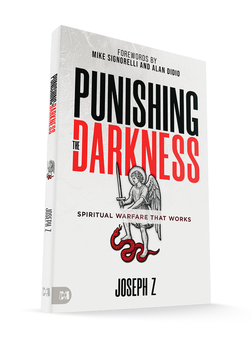 Punishing the Darkness: Spiritual Warfare That Works Paperback – February 3, 2026
