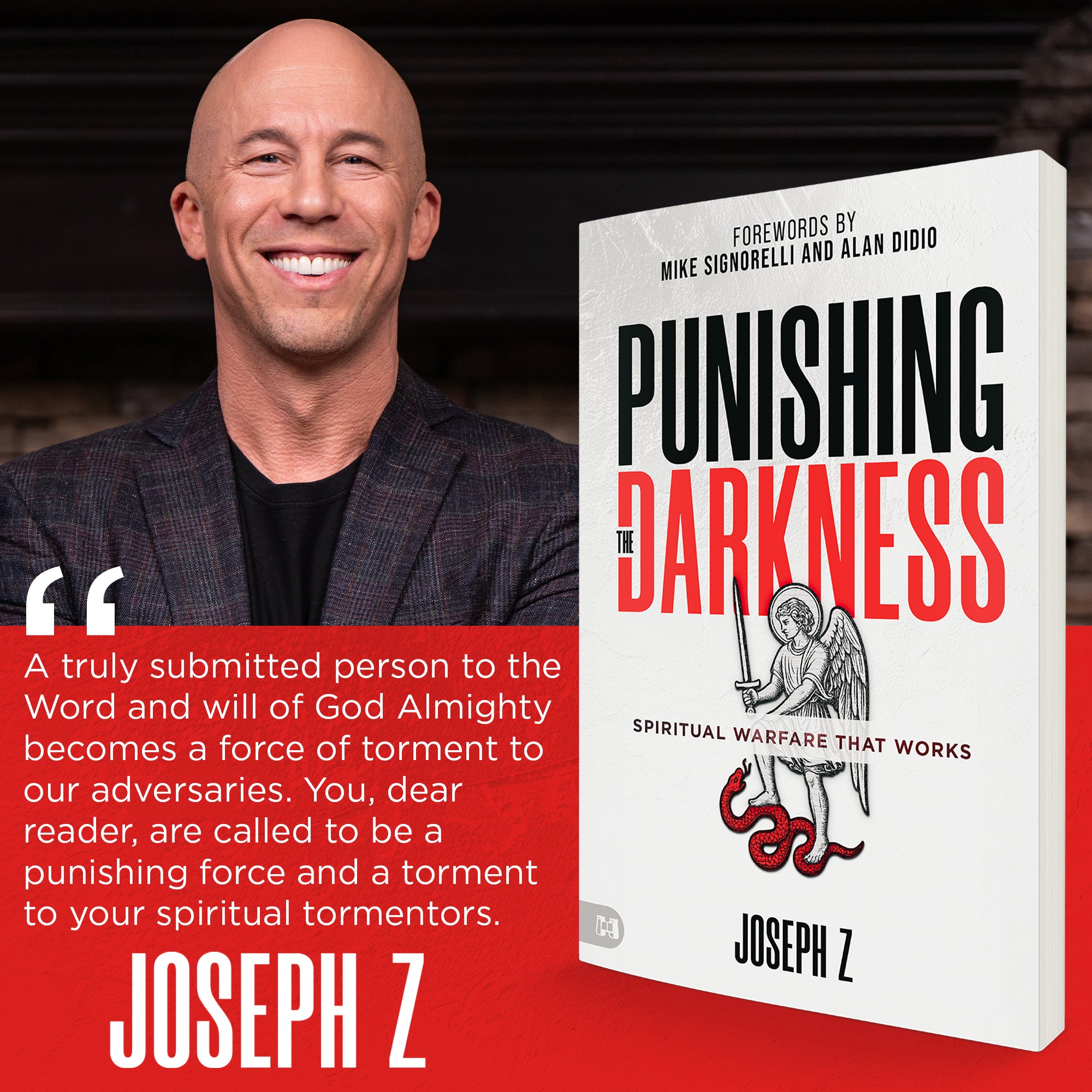 Punishing the Darkness: Spiritual Warfare That Works Paperback – February 3, 2026