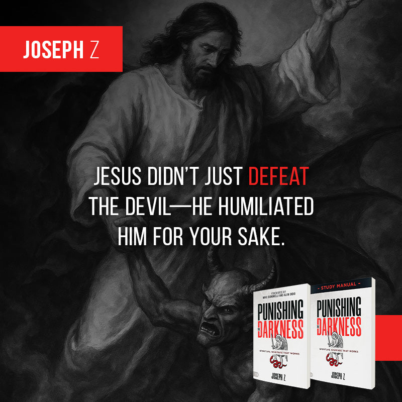 Punishing the Darkness: Spiritual Warfare That Works Paperback – February 3, 2026