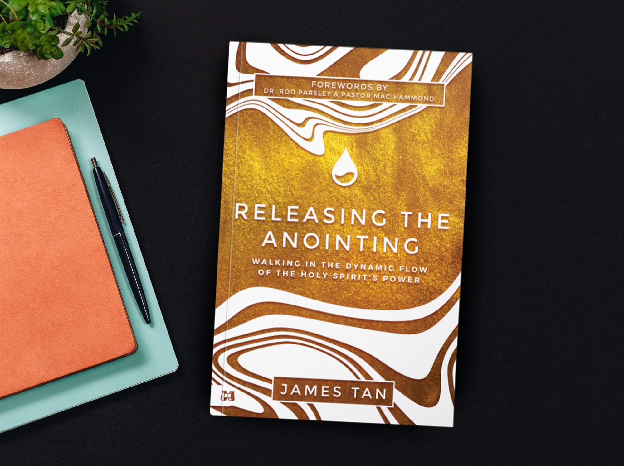 Releasing the Anointing: Walking in the Flow and Power of the Holy Spirit Paperback – February 4, 2025