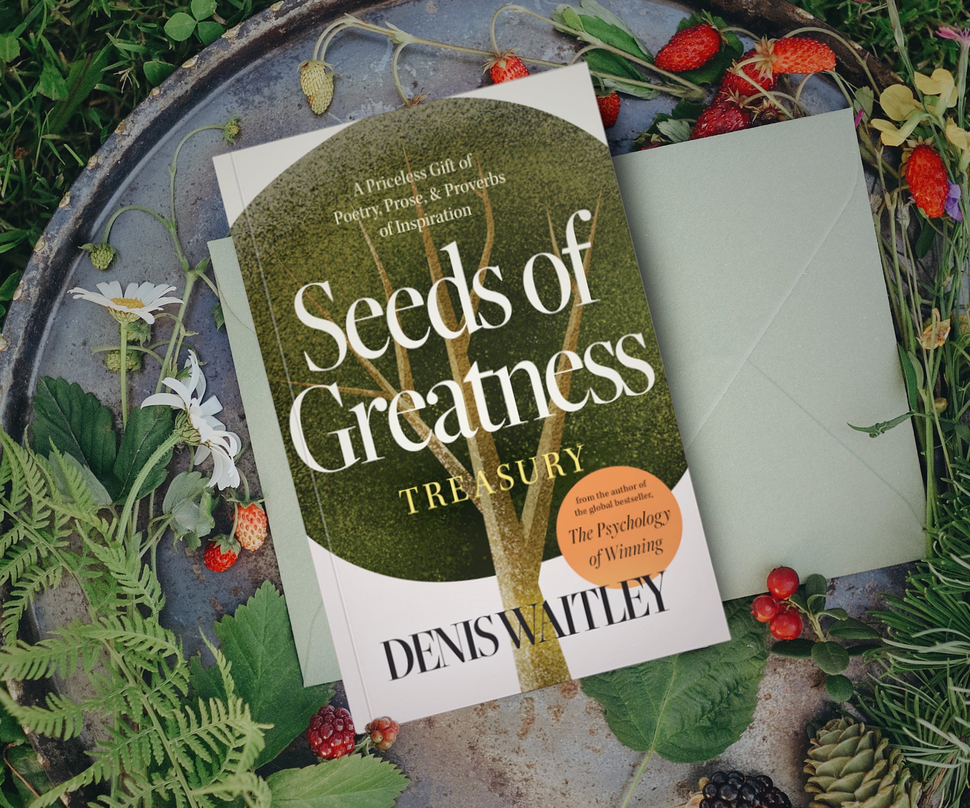 Seeds of Greatness Treasury: A Priceless Gift of Poetry, Prose and Proverbs of Inspiration Paperback – April 8, 2025