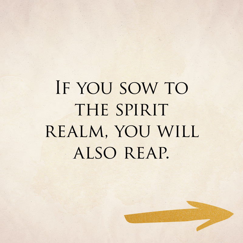 The Seer's Devotional - November 1, 2026