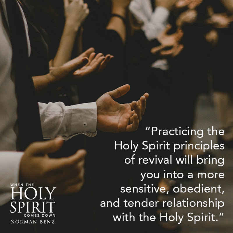 When the Holy Spirit Comes Down:  Secrets to Hosting the Holy Spirit (Paperback) - March 5, 2024