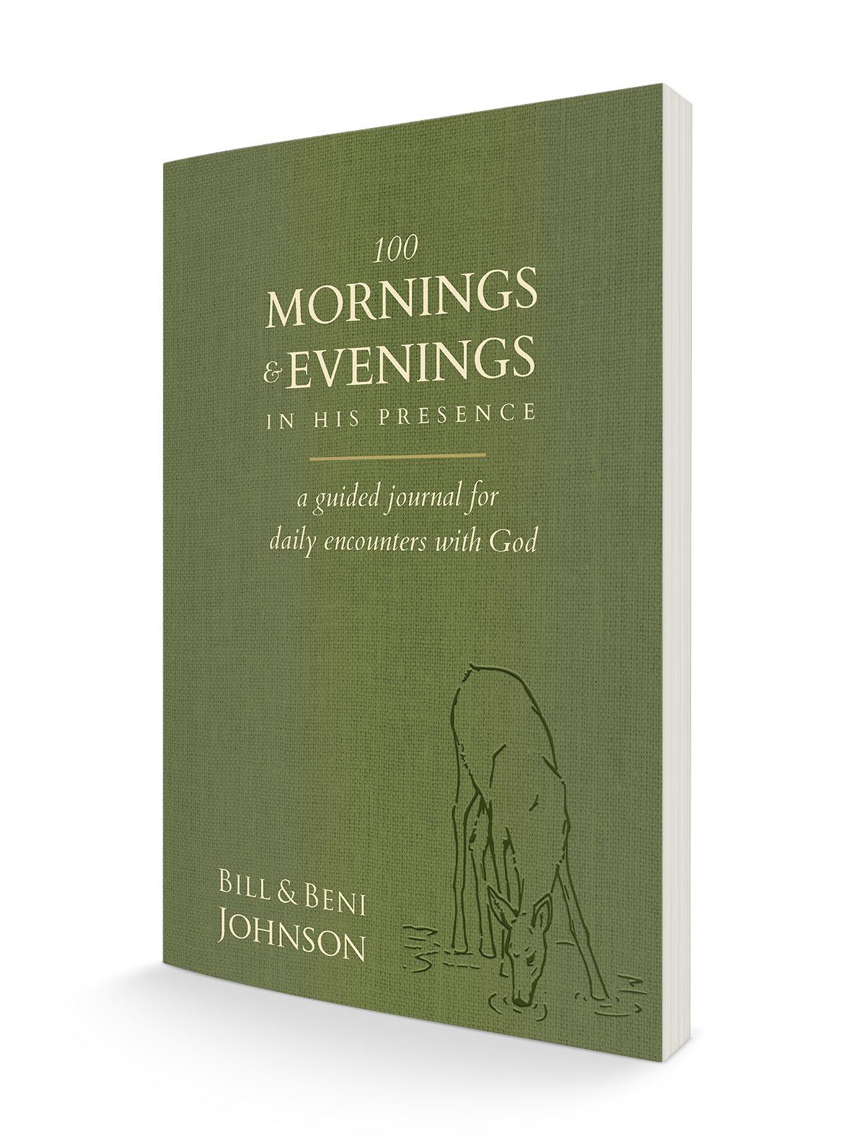 100 Mornings and Evenings in His Presence: A Guided Journal for Daily Encounters with God Paperback – December 6, 2022