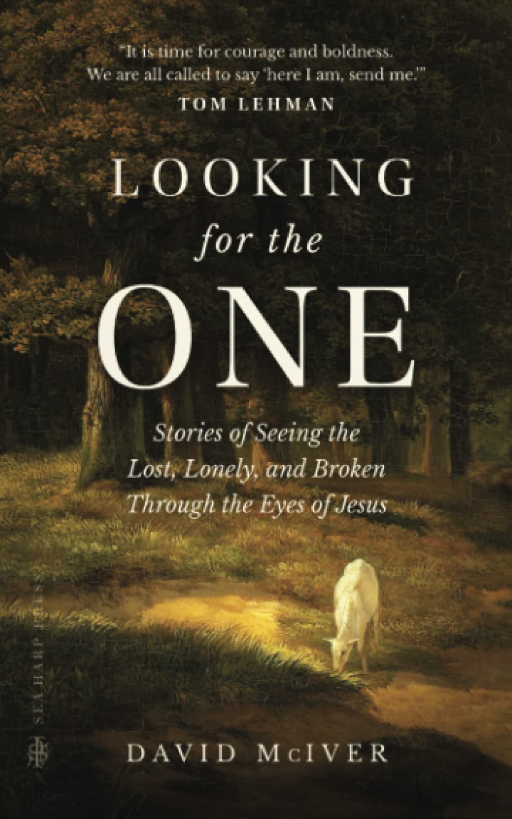 Looking for the One: Stories of Seeing the Lost, Lonely, and Broken Through the Eyes of Jesus Hardcover – May 23, 2023