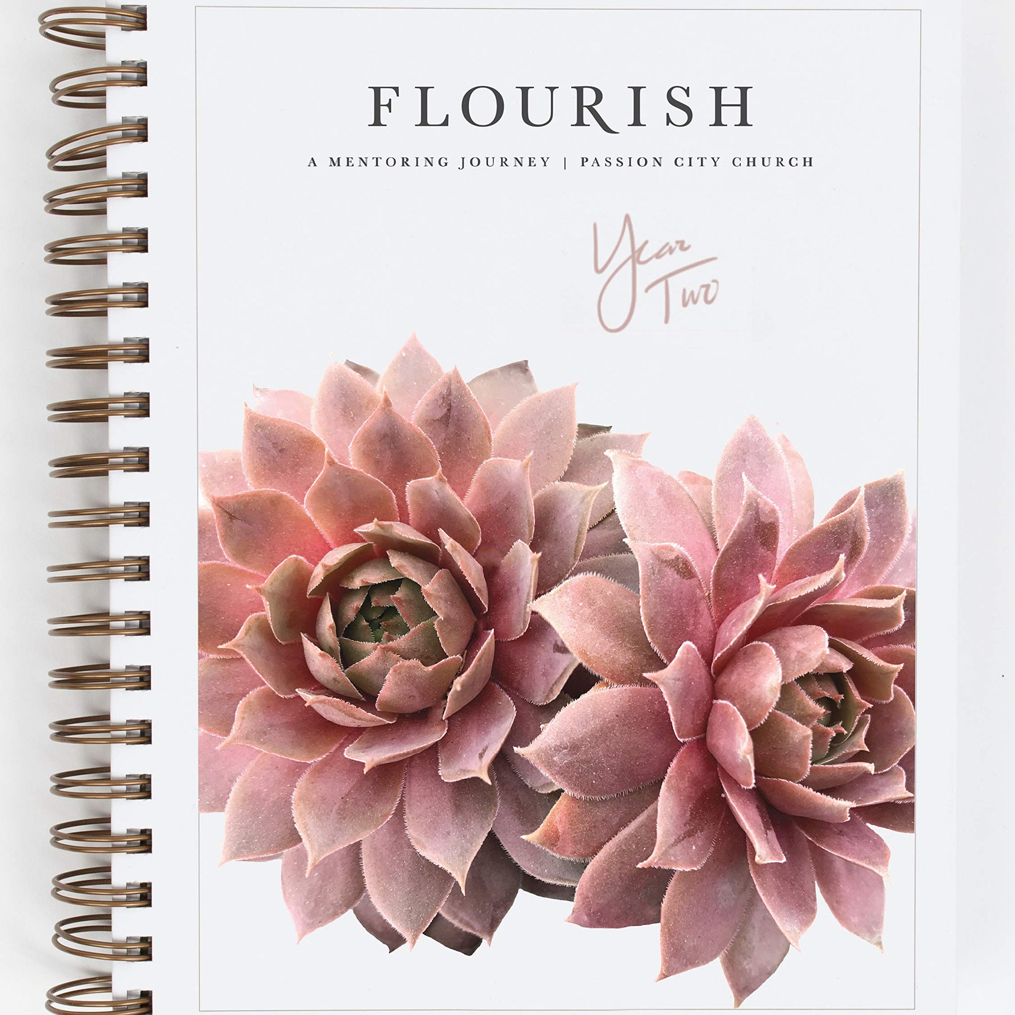 Flourish: A Mentoring Journey - Year Two Spiral-bound – September 14, 2021