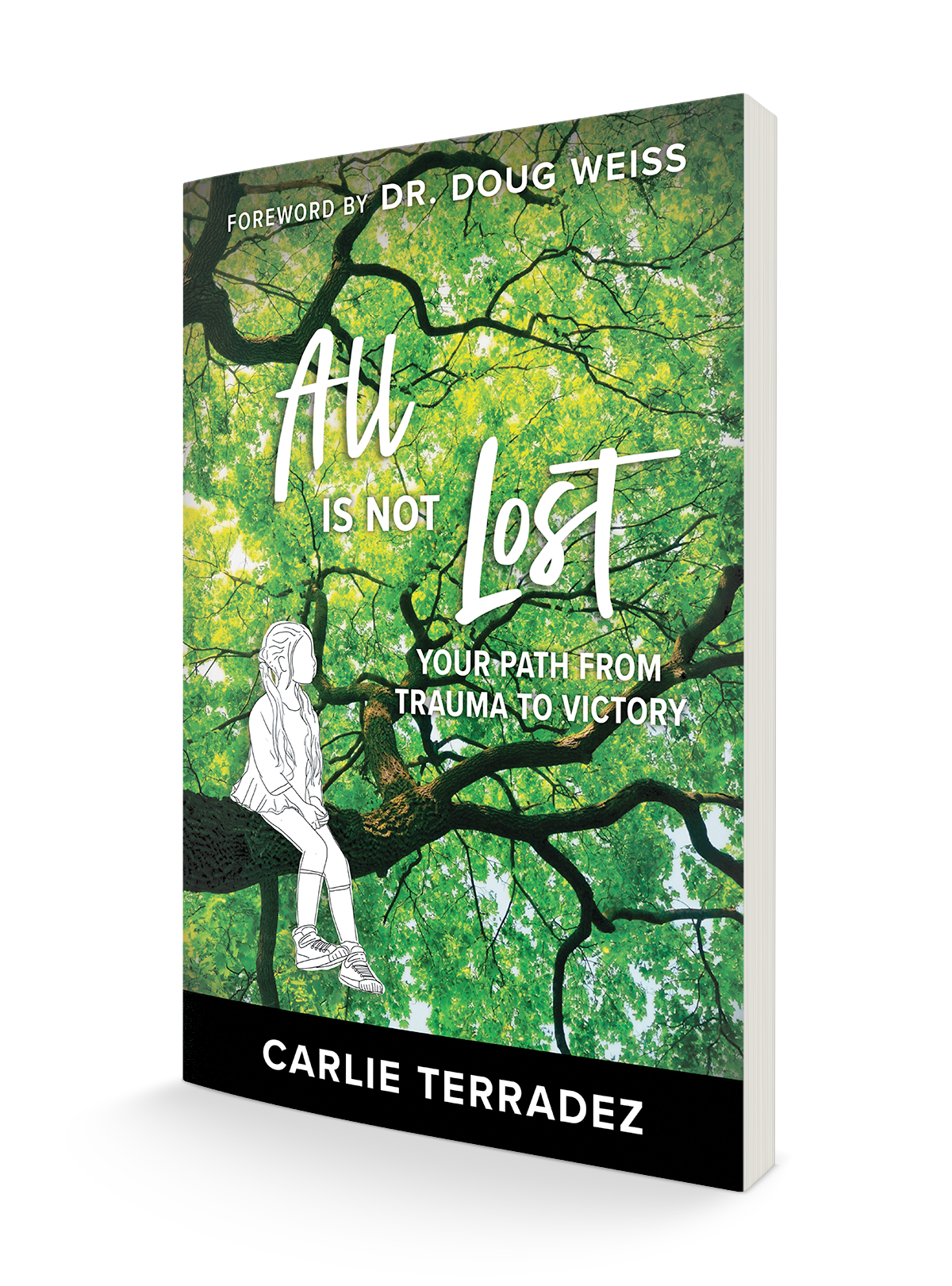 All is Not Lost: Your Path from Trauma to Victory Paperback – August 16, 2022