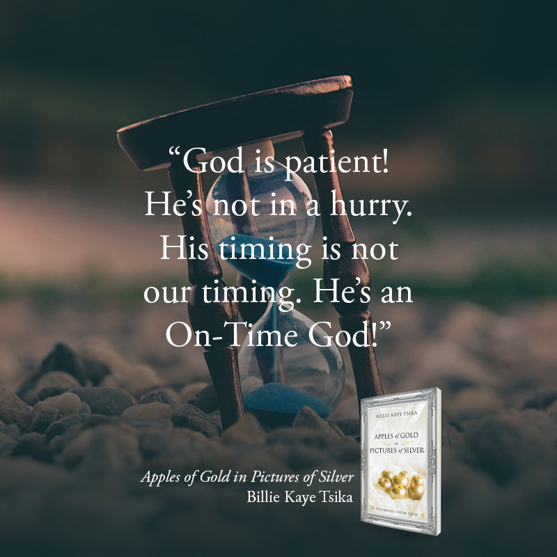 Apples of Gold in Pictures of Silver: Promises from God Paperback – December 20, 2022
