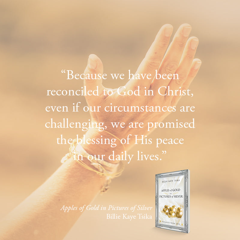 Apples of Gold in Pictures of Silver: Promises from God Paperback – December 20, 2022