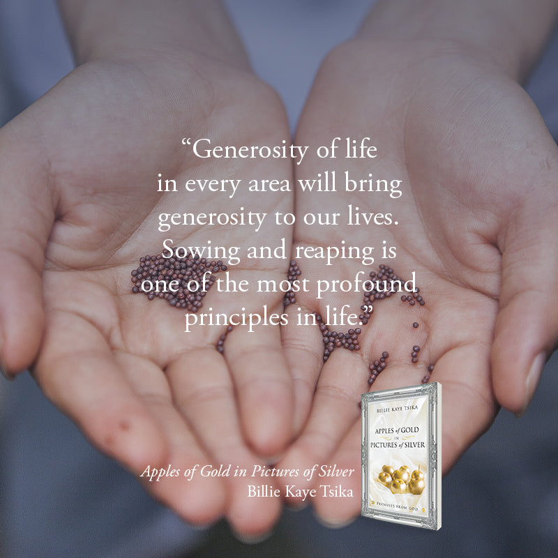 Apples of Gold in Pictures of Silver: Promises from God Paperback – December 20, 2022