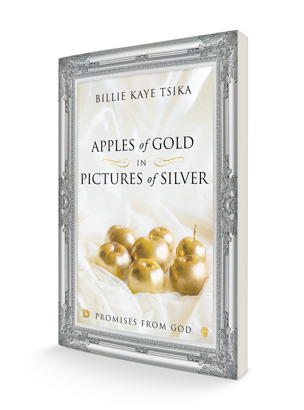 Apples of Gold in Pictures of Silver: Promises from God Paperback – December 20, 2022