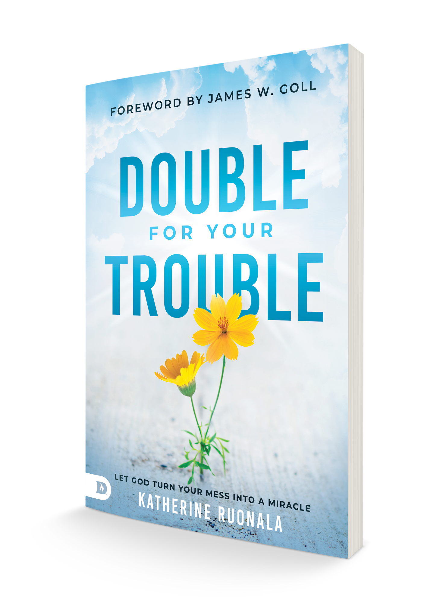 Double for Your Trouble: Let God Turn Your Mess Into a Miracle Paperback – April 19, 2022