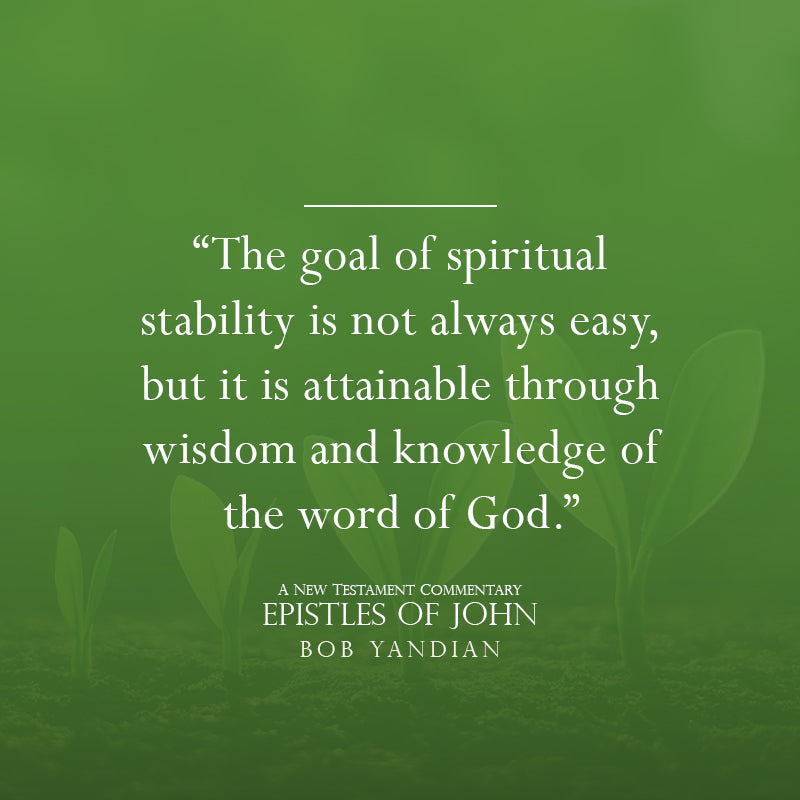 Epistles of John: A New Testament Commentary Paperback – September 5, 2023