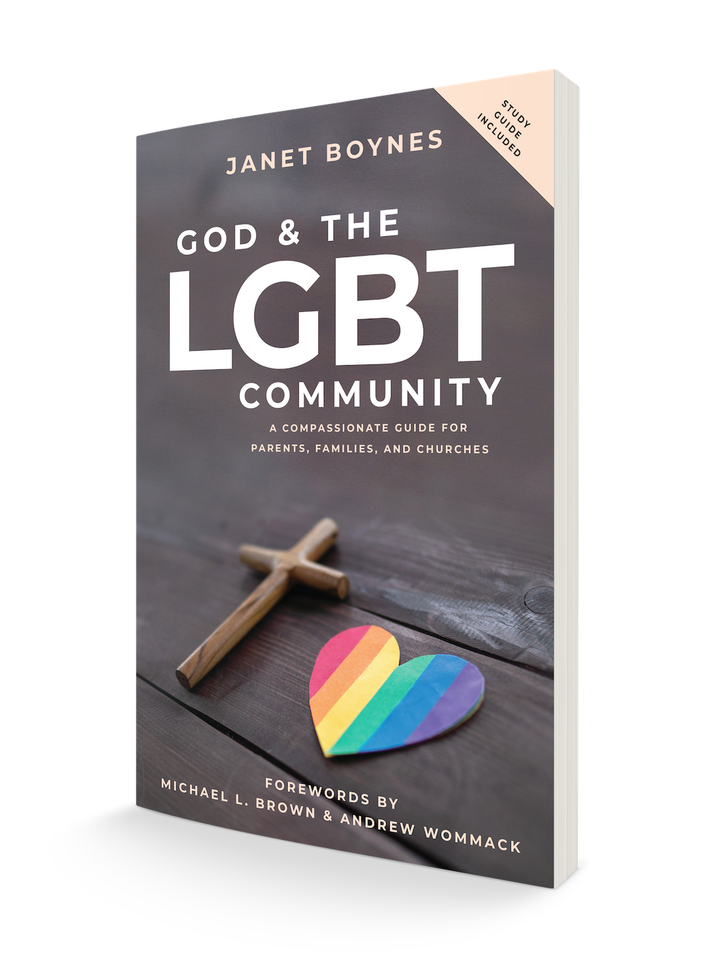 God & The LGBT Community: A Compassionate Guide for Parents, Families, and Churches (Paperback)