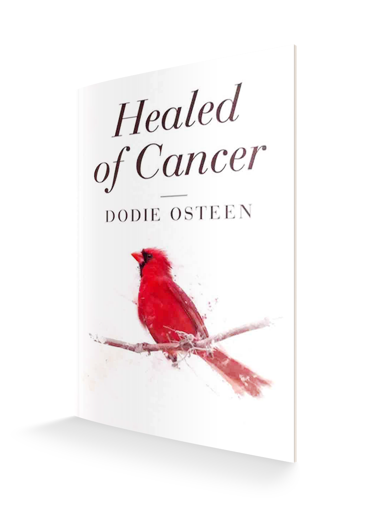 Healed of Cancer (Paperback)